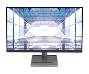 Lenovo L32p-30 - LED-Monitor - 81.3 cm (32") (31.5" sichtbar)