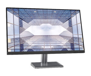 Lenovo L32p-30 - LED-Monitor - 81.3 cm (32") (31.5" sichtbar)