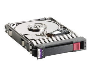 HPE Dual Port Enterprise - Festplatte - 300 GB - Hot-Swap - 2.5" SFF (6.4 cm SFF)