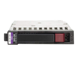 HPE Dual Port Enterprise - Festplatte - 300 GB - Hot-Swap - 2.5" SFF (6.4 cm SFF)