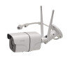 Inter Sales Denver Sho -1110 - Network monitoring camera - outdoor area - splash -resistant - color (day & night)