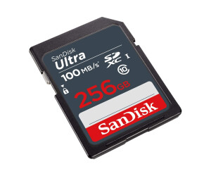 Sandisk Ultra - Flash memory card - 256 GB