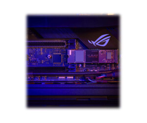 SanDisk WD_BLACK SN750 SE WDBB9J5000ANC - Battlefield 2042 Bundle - SSD - 500 GB - intern - M.2 2280 - PCIe 4.0 (NVMe)