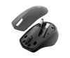 HP Silent 280M - Maus - kabellos - kabelloser Empfänger (USB)