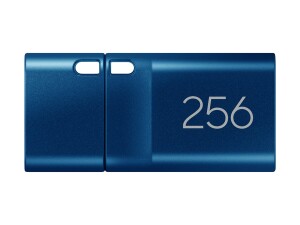 Samsung MUF-256DA - USB-Flash-Laufwerk - 256 GB