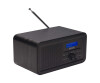 Inter Sales Denver DAB -30 - portable DAB radio - 1 watts