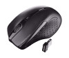 Cherry MW 3000 - mouse - for right -handed - infrared - 5 keys - wireless - 2.4 GHz - wireless receiver (USB)