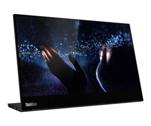 Lenovo Thinkvision M14T - LED monitor - 36 cm (14 &quot;)