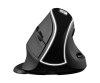 Sandberg Pro - vertical mouse - ergonomically - optically - 6 keys - wireless - 2.4 GHz - wireless recipient (USB)