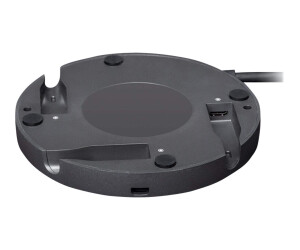 Logitech Rally Mic Pod Hub - Mikrofon-Schnittstellenadapter