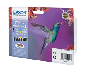 Epson T0807 Multipack - 6 -pack - 44.4 ml - black, yellow, cyan, magenta, light magenta paint, light cyan