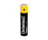 Intenso Energy Ultra Bonus Pack - Batterie 24 x AAA / LR03