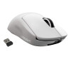 Logitech PRO X SUPERLIGHT Wireless Gaming Mouse