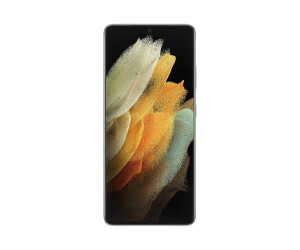 Samsung Galaxy S21 Ultra 5G - 5G Smartphone - Dual-SIM - RAM 12 GB / 256 GB - OLED-Display - 6.8" - 3200 x 1440 Pixel (120 Hz)