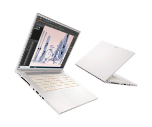 Acer ConceptD 3 Pro CN316-73P - Intel Core i7 11800H /...