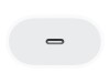 Apple 20W USB-C Power Adapter - Netzteil - 20 Watt (24 pin USB-C)