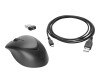 HP Premium - Mouse - right and left -handed - laser - 3 keys - wireless - 2.4 GHz - wireless receiver (USB)