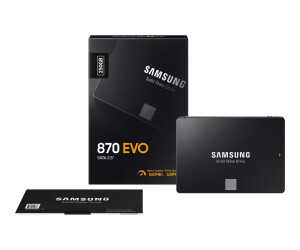 Samsung 870 EVO MZ-77E250B - SSD - verschlüsselt - 250 GB - intern - 2.5" (6.4 cm)