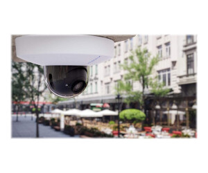 Mobotix D71 - Network monitoring camera - dome - outdoor...