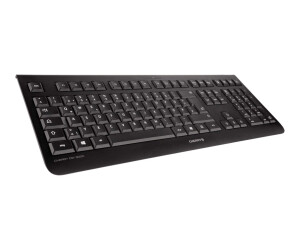 Cherry DW 3000-keyboard and mouse set-wireless