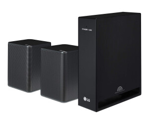 LG SPK8 - Hintere Kanallautsprecher - für Heimkino