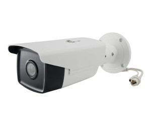 LevelOne FCS-5092 - Netzwerk-Überwachungskamera - Außenbereich - wetterfest - Farbe (Tag&Nacht)