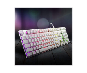 Sharkoon PureWriter RGB - keyboard - backlight