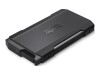 SANDISK PROFESSIONAL PRO-BLADE TRANSPORT - SSD - 4 TB - extern (tragbar)