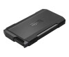 SanDisk Professional PRO-BLADE TRANSPORT - SSD - 4 TB - extern (tragbar)