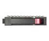 HPE Midline - Festplatte - 1 TB - intern - 3.5" LFF (8.9 cm LFF)