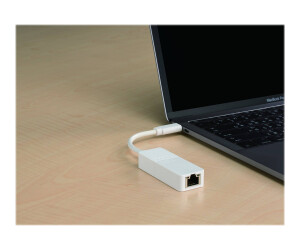 D-Link DUB-E130 - Netzwerkadapter - USB-C - Gigabit