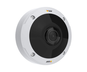 Axis M3058-PLVE Network Camera - Netzwerk-Überwachungskamera - Kuppel - Außenbereich - staubdicht/wasserdicht/vandalismusresistent - Farbe (Tag&Nacht)