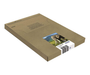 Epson 24 Multipack Easy Mail Packaging - 6er-Pack