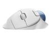 Logitech Ergo Series ERGO M575 - Trackball - optisch - 5 Tasten - kabellos - Bluetooth 5.0 LE, 2.4 GHz - kabelloser Empfänger (USB)