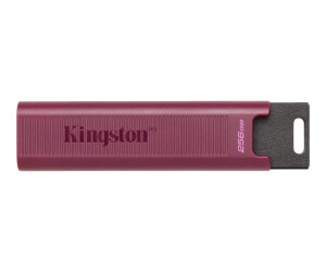 Kingston Datatraveler Max-USB flash drive