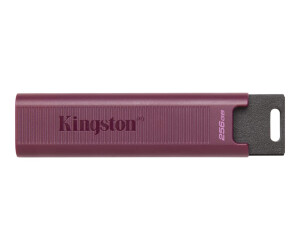 Kingston DataTraveler Max - USB-Flash-Laufwerk
