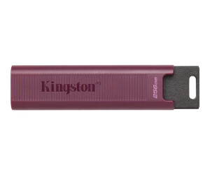 Kingston Datatraveler Max-USB flash drive