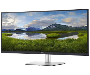 Dell - P3421W - 34 Zoll WQHD 3440 x 1440 IPS 60 Hz USB-C 65 W gebogen Schwarz