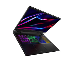Acer Nitro 5 AN517-42 - AMD Ryzen 9 6900HX / 3.3 GHz - Win 11 Home - GF RTX 3070 Ti - 32 GB RAM - 1.024 TB SSD NVMe - 43.9 cm (17.3")