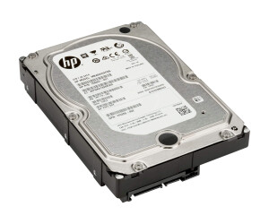 HP  Festplatte - 4 TB - intern - 3.5&quot; (8.9 cm)