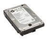 HP  Festplatte - 4 TB - intern - 3.5" (8.9 cm)