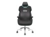 Thermaltake TT Argent E700 Gaming Chair TQ | GGC-ARG-BGLFDL-01