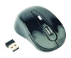 Gembird MUSW-6B-01 - Maus - optisch - 6 Tasten - kabellos - 2.4 GHz - kabelloser Empfänger (USB)