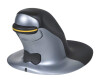Fellowes Penguin Small - vertical mouse - right and left -handed