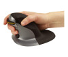 Fellowes Penguin Small - vertical mouse - right and left -handed