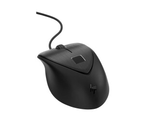 HP fingerprint - mouse - laser - 3 keys - wired