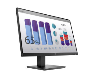 HP P24Q G4 - P -Series - LED monitor - 60.5 cm (23.8 &quot;)