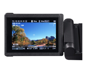 Panasonic P2 HD-AG-CX350 - Camcorder - 4K / 60 BpS