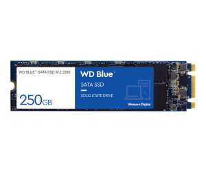 WD Blue 3d Nand Sata SSD WDS250G2B0B-Solid-State-Disk