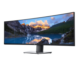 Dell Ultrasharp U4919DW - LED monitor - curved - 124.5 cm (49 ")